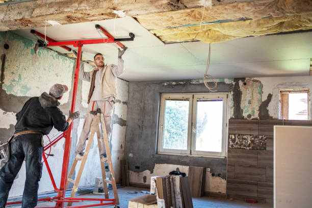 Best Insulation Maintenance and Repair in Cannon Af, NM