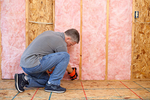 Best Eco-Friendly Insulation in Cannon Af, NM