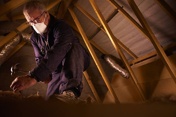 Types of Insulation We Offer in Cannon Af, NM